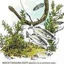 마스터소프트 이미지