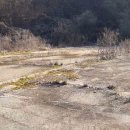 미산면사무소 이미지