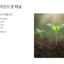 뇌 건강 업 집중력과 속독 훈련 | 자기계발 유튜브 채널 완벽 가이드