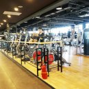 자마이카휘트니스 이미지