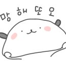 속초관광수산시장(구 속초중앙전통시장) 이미지