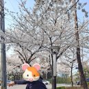 에코공원 이미지