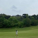 유림스크린골프 이미지