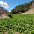 통골농장 이미지