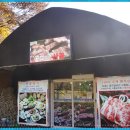 꽃피는산골1 이미지