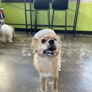 놀멍쉬멍고르멍 이미지