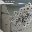 해피리폼