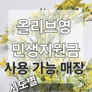 올리브영 성서모다점 이미지