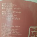 근우무역 | 근우패드 애견패드 내돈내산후기 🐶