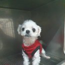 교육청사거리 이미지