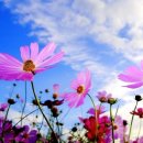 답십리27 이미지