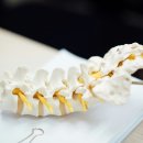 열린경희한의원 이미지