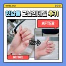 (03월)나도 아티스트:색연필 드로잉 | 연남동 네일 샵 솔직 후기💅🏻 1시간 완성 이달의 아트&#39;귀여운 젤리곰&#39; 네일