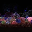 별빛정원B 이미지