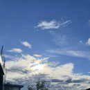 세희농장 이미지