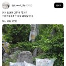 거꾸로