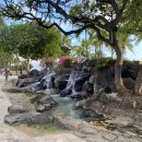 무지개식당 이미지