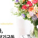(주)꾸까