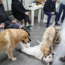 조아 족구장 이미지