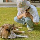 casa de 215 이미지