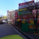 용인대 태풍태권도 이미지