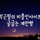 피플인사이트 브런치