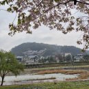 신신농장 네이버블로그
