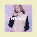 [공지] 겨울 패딩 조끼 위시리스트(노스페이스, 뉴발란스, 내셔널)