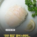 광어 몸값 폭등 이미지