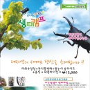 용매골 수영장 네이버블로그