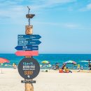 몽돌힐링 이미지