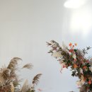 스튜디오모마 이미지