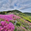 [공지 : 부산 백양산 642m] 2019 세상을 바꾸는 원정대 연습산행 안내 이미지