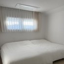 스테이다옴 이미지