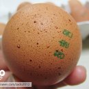 영신농장-1 이미지