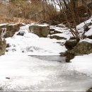 대봉산-계관한4 이미지