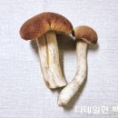 여울농산 이미지