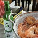 궁리회센타 이미지