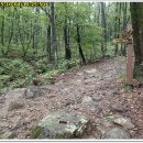 달서구청소년수련관 이미지