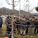 병용농장 이미지