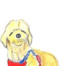 어반스케치B 이미지