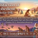 186 D. 출애굽기 16 : 11-20 순종으로 누리는 만족 2062705‘생명의 양식365’를 유튜브에서도 만날 수 있습니다. 이미지