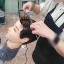 황제이용원 - 청양군 칠갑산로2길 13 | 이용사자격증 필기시험 일정, 자주 출체되는 이용사자격증 필기시험 기출문제