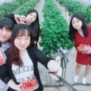 오삼~팜 이미지