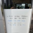 솔빈 마루 | 김포 고양이카페 북변동 솔빈마루 32개월 아기랑 다녀옴