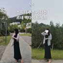 (주)비블루 | 시에 SIE 소프티 루즈 가디건과 르네 백타이 드레스 스탠다드 후기