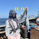 [제주] 송사리는 가라 5월 제주도 배낚시 대어 지깅낚시 -체험 배낚시 광명호