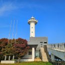 입파도 Daum카페