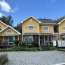 로뎀편백나무펜션 이미지