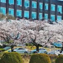 순천향대학교 이미지